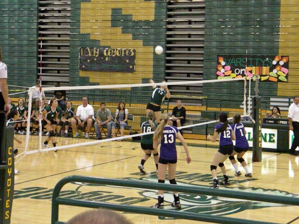 Taylor Batten - Skyline High School Volleyball (Mesa, Arizona)