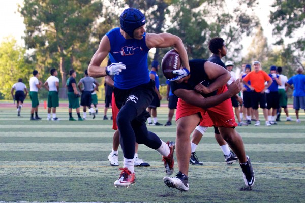 Alexander Egurbide - Westlake High School Baseball, Basketball, Football (Westlake Village, California)