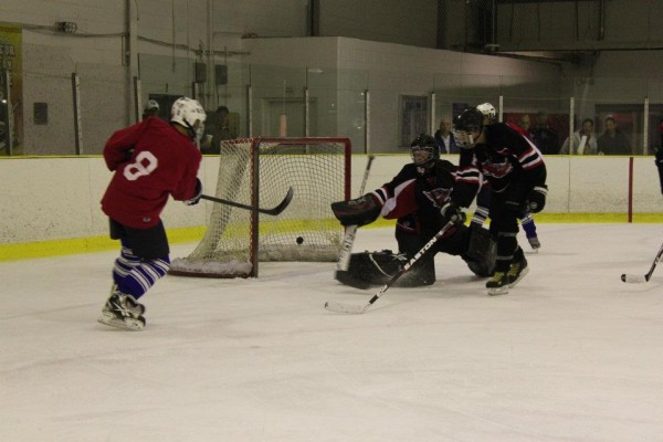 NIKOLAS GOYKE - L'anse Creuse High School Hockey (Harrison Township, Michigan)